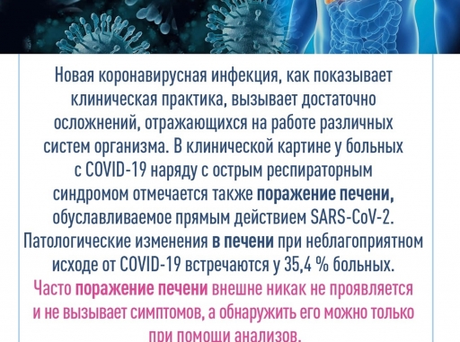 Влияние COVID-19 на печень человека.